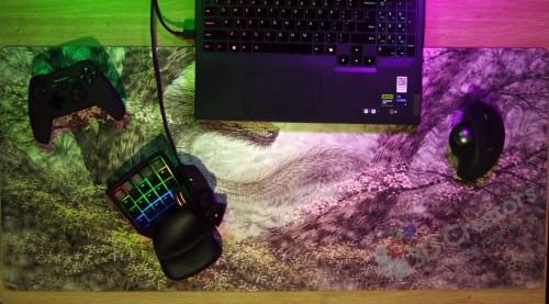 Zielony_smok_v2_2.jpg