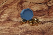 c907f5610652daaf7f1633285860b139